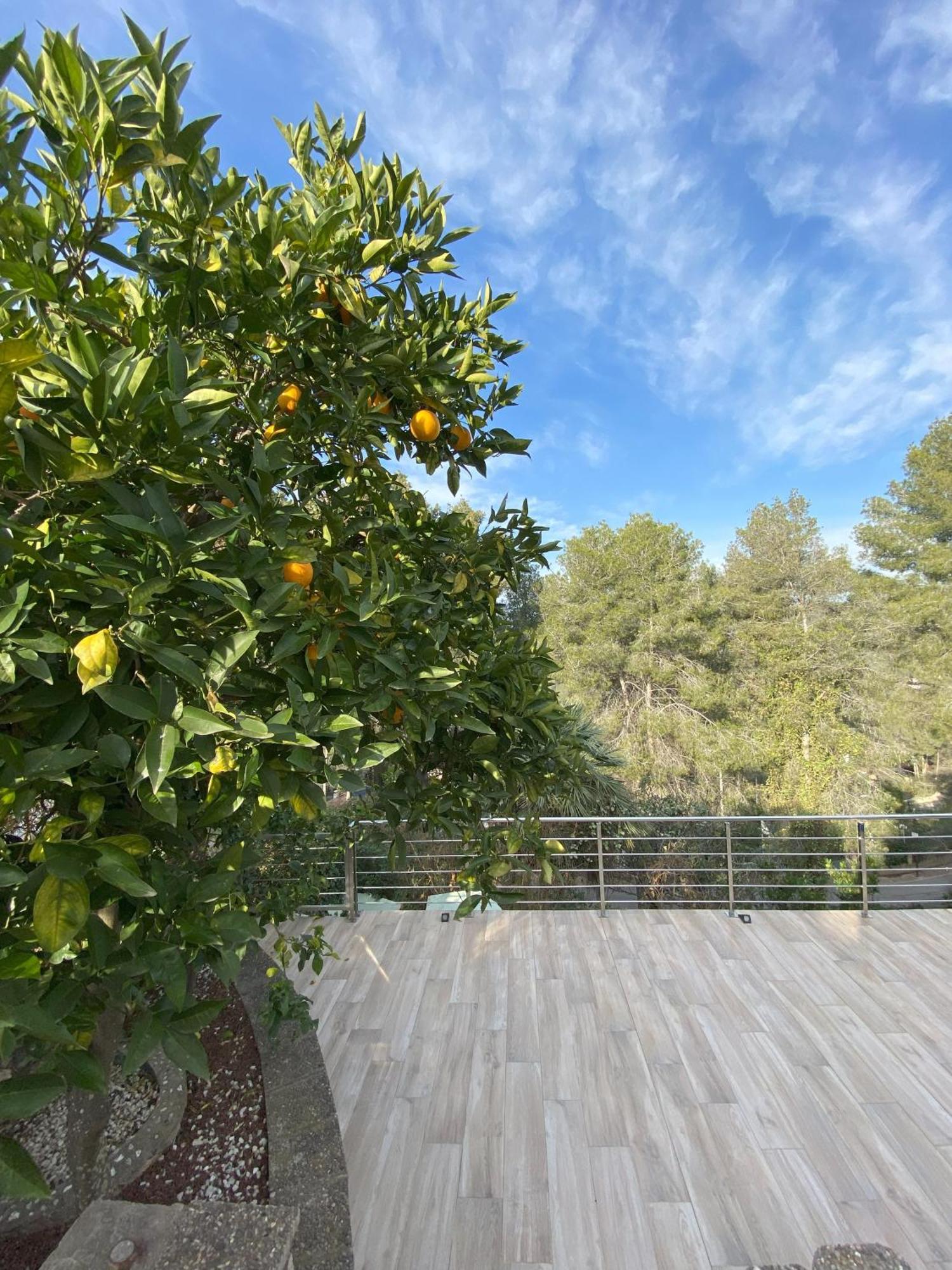 Villa Avril Piscina Privada Y Amplias Terrazas Olivella Екстериор снимка